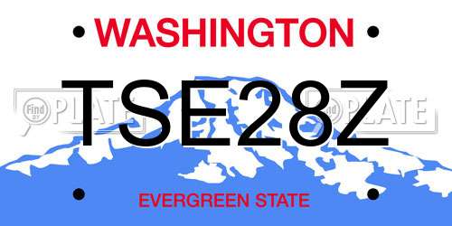TSE28Z Washington License Plate
