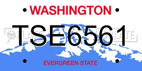TSE6561 Washington License Plate