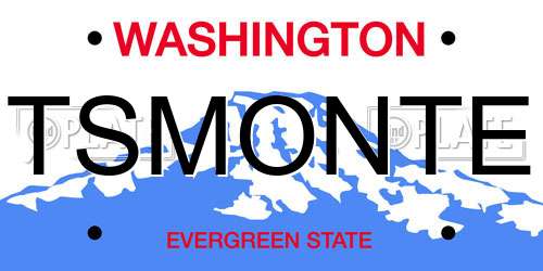 TSMONTE Washington License Plate