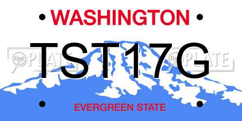 TST17G Washington License Plate
