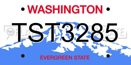 TST3285 Washington License Plate