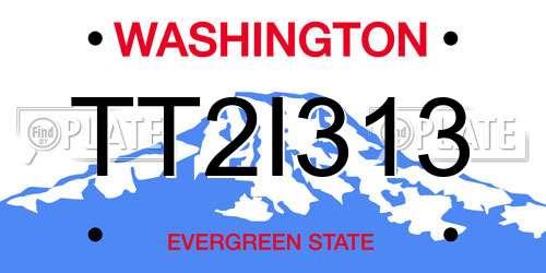 TT2I313 Washington License Plate