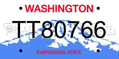 TT80766 Washington License Plate