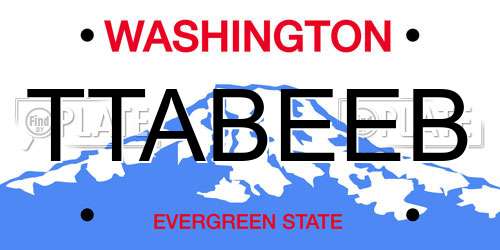 TTABEEB Washington License Plate