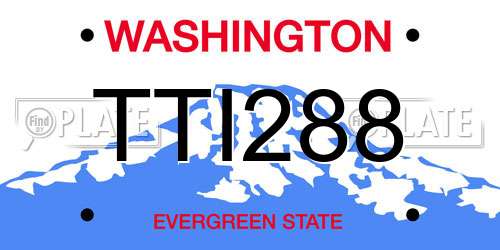 TTI288 Washington License Plate
