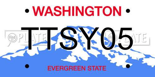 TTSY05 Washington License Plate