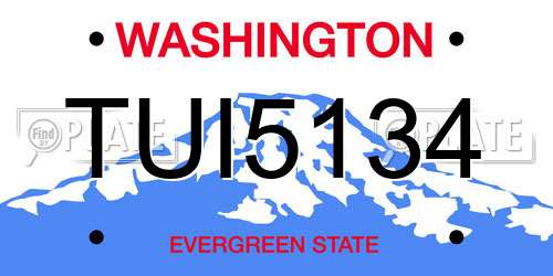 TUI5134 Washington License Plate