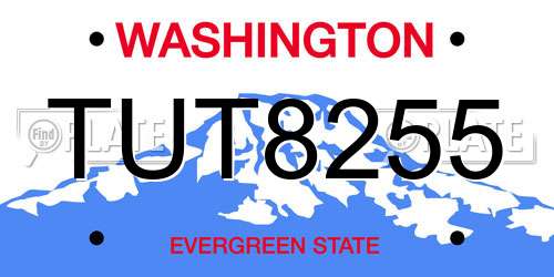 TUT8255 Washington License Plate