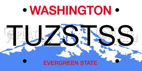TUZSTSS Washington License Plate