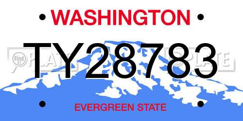TY28783 Washington License Plate