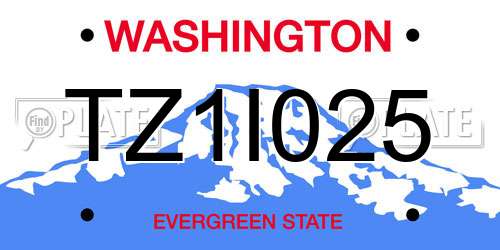 TZ1I025 Washington License Plate