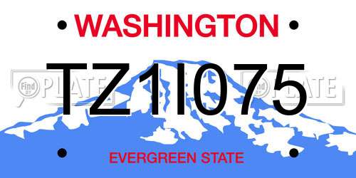 TZ1I075 Washington License Plate