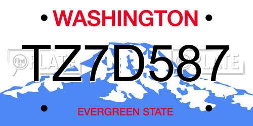 TZ7D587 Washington License Plate