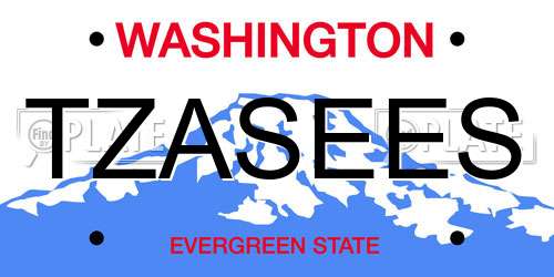 TZASEES Washington License Plate