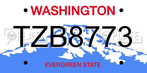 TZB8773 Washington License Plate