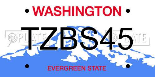 TZBS45 Washington License Plate
