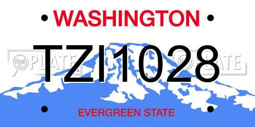 TZI1028 Washington License Plate
