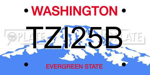 TZI25B Washington License Plate