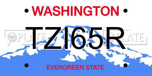 TZI65R Washington License Plate