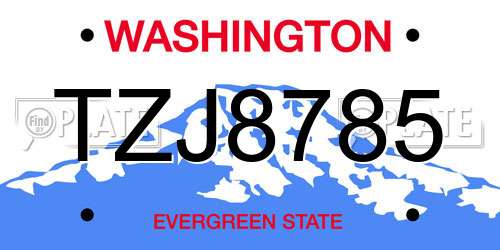 TZJ8785 Washington License Plate