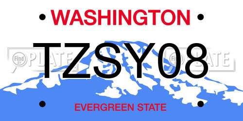 TZSY08 Washington License Plate