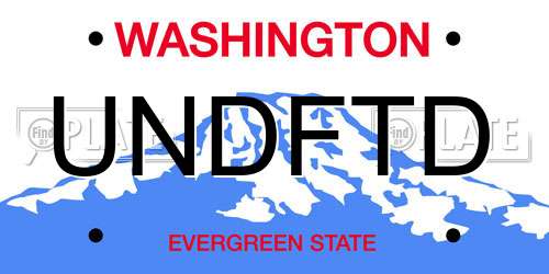 UNDFTD Washington License Plate