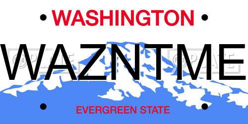 WAZNTME Washington License Plate