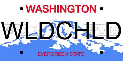 WLDCHLD Washington License Plate