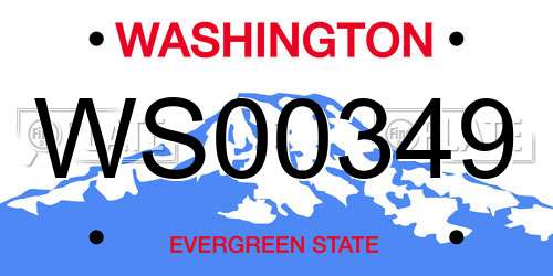 WS00349 Washington License Plate