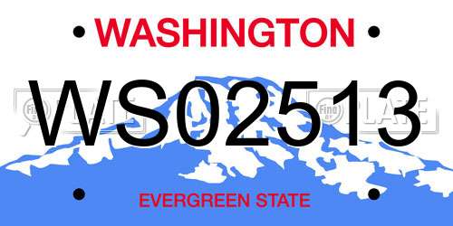 WS02513 Washington License Plate