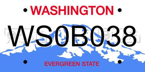 WS0B038 Washington License Plate