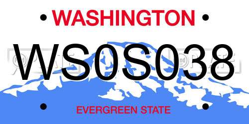 WS0S038 Washington License Plate