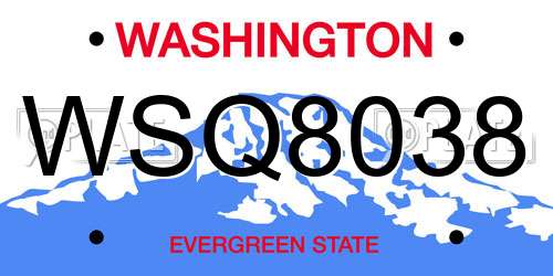 WSQ8038 Washington License Plate