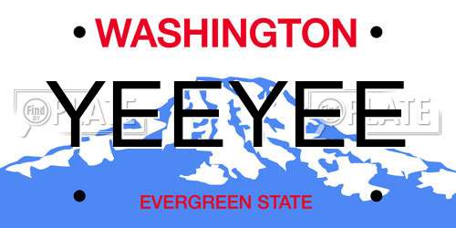 YEEYEE Washington License Plate