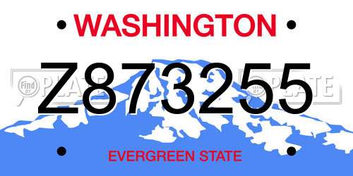 Z873255 Washington License Plate