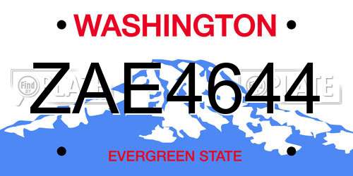 ZAE4644 Washington License Plate