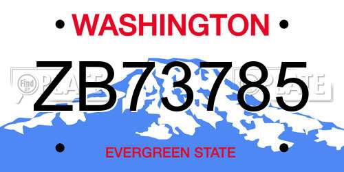 ZB73785 Washington License Plate