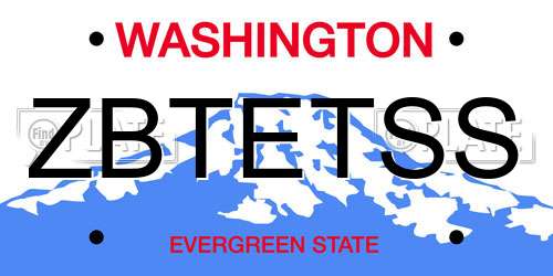 ZBTETSS Washington License Plate