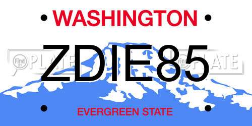 ZDIE85 Washington License Plate