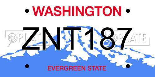 ZNT187 Washington License Plate