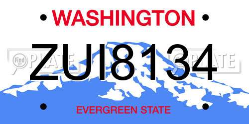 ZUI8134 Washington License Plate