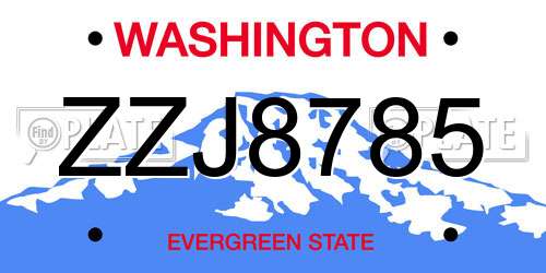ZZJ8785 Washington License Plate