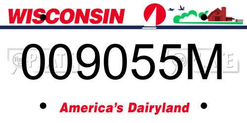 009055M Wisconsin License Plate