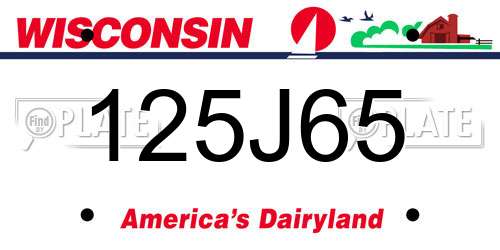 125J65 Wisconsin License Plate