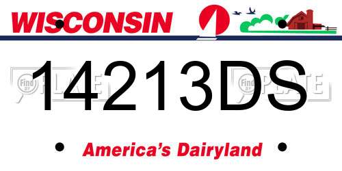 14213DS Wisconsin License Plate