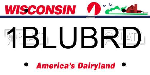 1BLUBRD Wisconsin License Plate