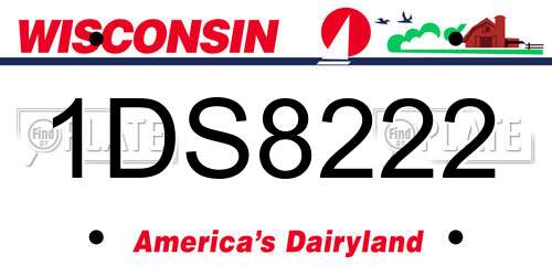 1DS8222 Wisconsin License Plate