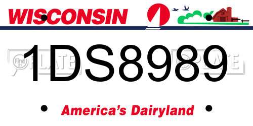 1DS8989 Wisconsin License Plate