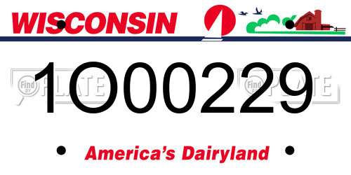 1O00229 Wisconsin License Plate