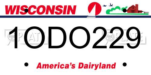 1ODO229 Wisconsin License Plate